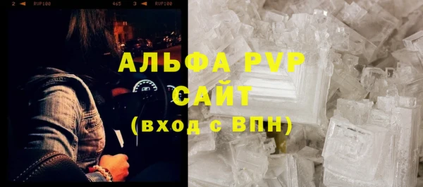 сатива Белокуриха