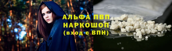 СК Беломорск