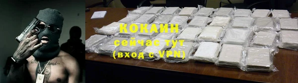 сатива Белокуриха