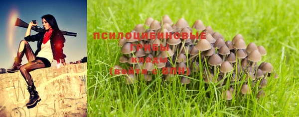 СК Беломорск