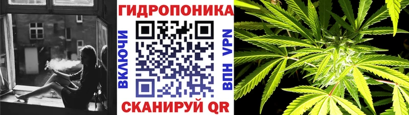 Бошки марихуана ГИДРОПОН Светлый